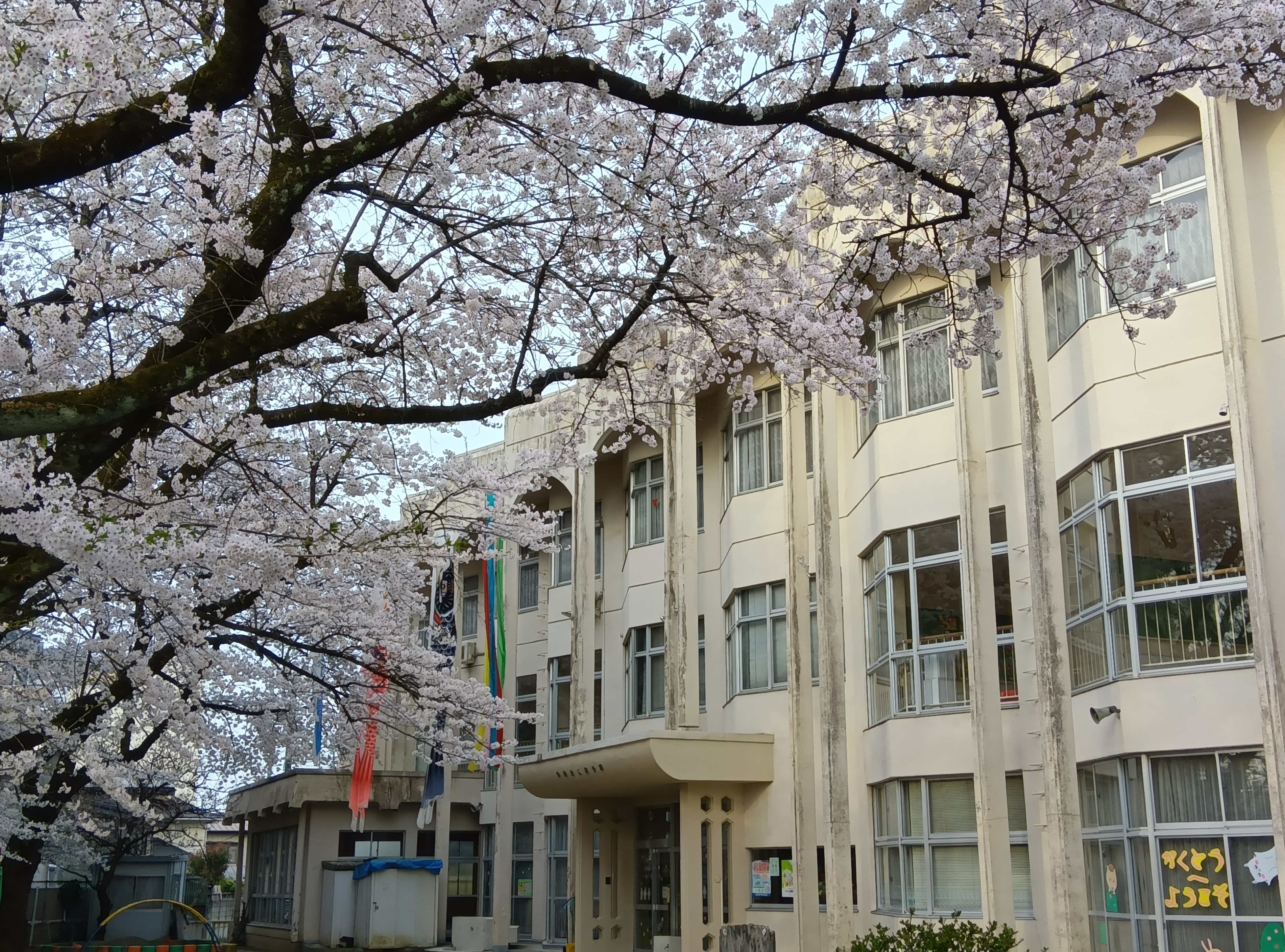 チャグ馬とのふれあい