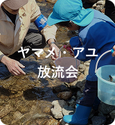 ヤマメ・アユ放流会